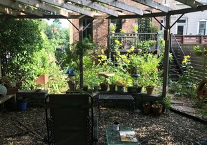 Garden Duplex In Clinton Hill, Brooklyn
