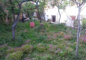 GARDEN ROOM metro C-Mirti
