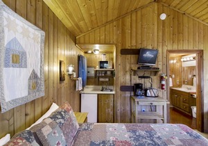 Garden Studio Partial View - 1 min walk to prime west-facing beach