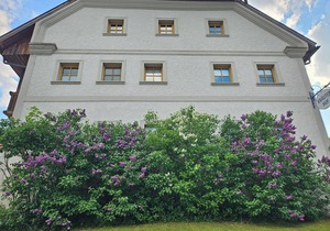 Gemütliche 3-Sterne-Ferienwohnung mit Terrasse und Streichelzoo