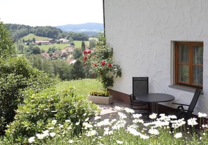Gemütliche 3 Sterne Ferienwohnung in Schöner Ortslage