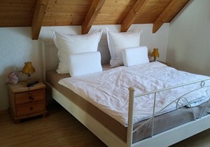 Gemütliche Galeriewohnung mit Playstation und Balkon