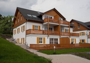 Gerkenstein 29-M