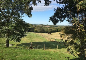 Glamping 1-Bed Cottage in Hellingly in Hellingly