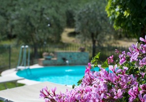 Glicene, Francigena - Holiday apartment with pool near San Gimignano, Tuscany