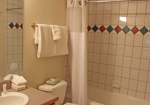 Gold Point Townhouse with Amazing View of Breckenridge Mountain
