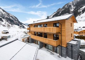 Golden Lodges Type 50 - APP 4 pers