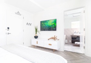 Gorgeous King Studio in South Beach!