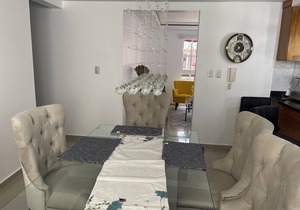 Gorgeous Santiago Apartment