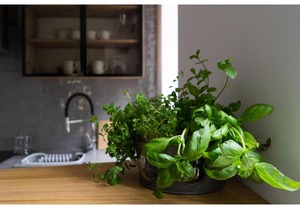 Gostynin Garden Apartment