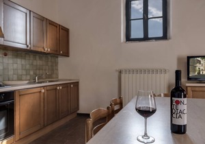 Granaio-6+1 people apartment in the main village