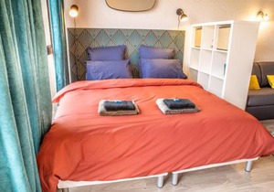 Grand Studio Stan Nancy - calme, cosy, lumineux