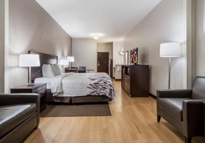 Great Hotel For The Price & Close To The Old Market! On-site Pool, Pet-Friendly!