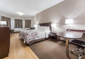 Great Hotel For The Price & Close To The Old Market! On-site Pool, Pet-Friendly!