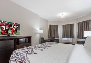Great Hotel For The Price & Close To The Old Market! On-site Pool, Pet-Friendly!