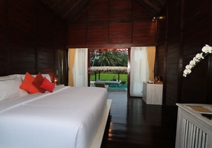 Great location near Ubud, Pool View
