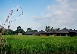Great location near Ubud, Pool View