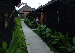Great location near Ubud, Pool View
