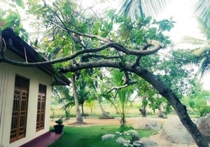 Green sapphire holiday resort wilpaththu