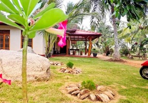 Green Sapphire Holiday Resort Wilpaththu