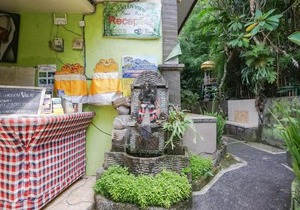 Green View Ubud Hostel Bali