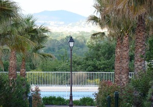 Green Village 80