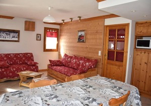 Ground floor, terrace, tv, ski locker, 48m², Pralognan-la-Vanoise