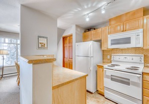 Ground-floor condo with fireplace & patio - walk or shuttle to ski lifts