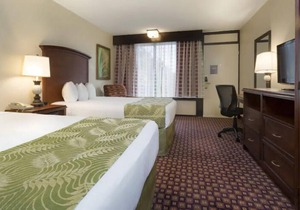 Group Theme Park Adventure! 3 Spacious Units, Near Sleuths Dinner Show, Restaurant, Pool