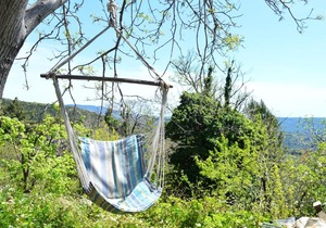 grove cottage pelion