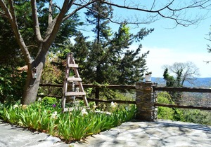 grove cottage pelion