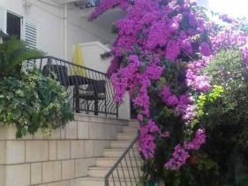 Guest House Villa Bellevue 1