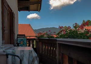 Guesthouse Max-Josef - One-room apartment