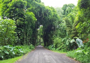 Hale Hamakua