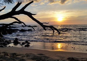 Hale Hamakua