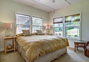 Hale Luana (Big Island) Home