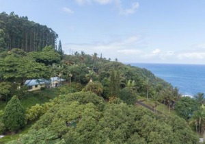 Hamakua Pukana La Hale home