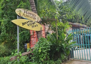 Hammock Plantation