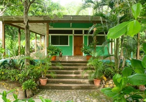 Hammock plantation