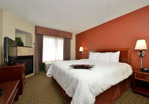 Hampton Inn East Aurora