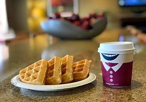 Hampton Inn Elkins
