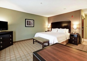 Hampton Inn & Suites Detroit-Canton