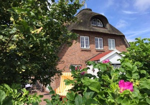 Haus-Wattloeper