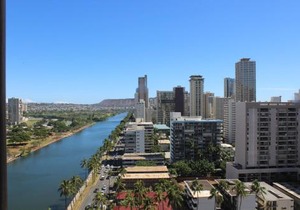 Hawaiian Monarch 2010 condo