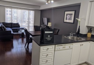 Heart of downtown Toronto, furnished 1 BR Luxury Suite