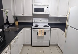 Heart of downtown Toronto, furnished 1 BR Luxury Suite