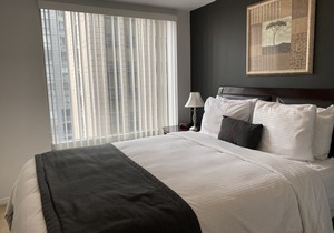 Heart of downtown Toronto, furnished 2 BR Deluxe Suite