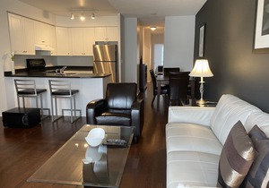 Heart of downtown Toronto, furnished 2 BR Deluxe Suite