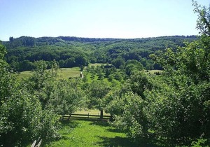 Hermannshöhe Fewo 3