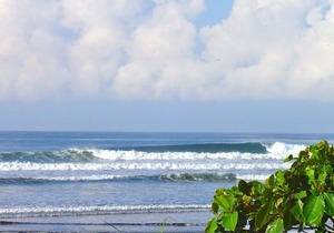 HERMOSA PALMS #66 in Playa Hermosa